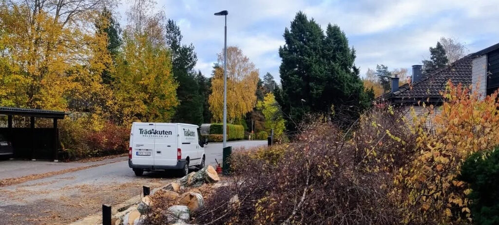 Trädfällning Jönåker