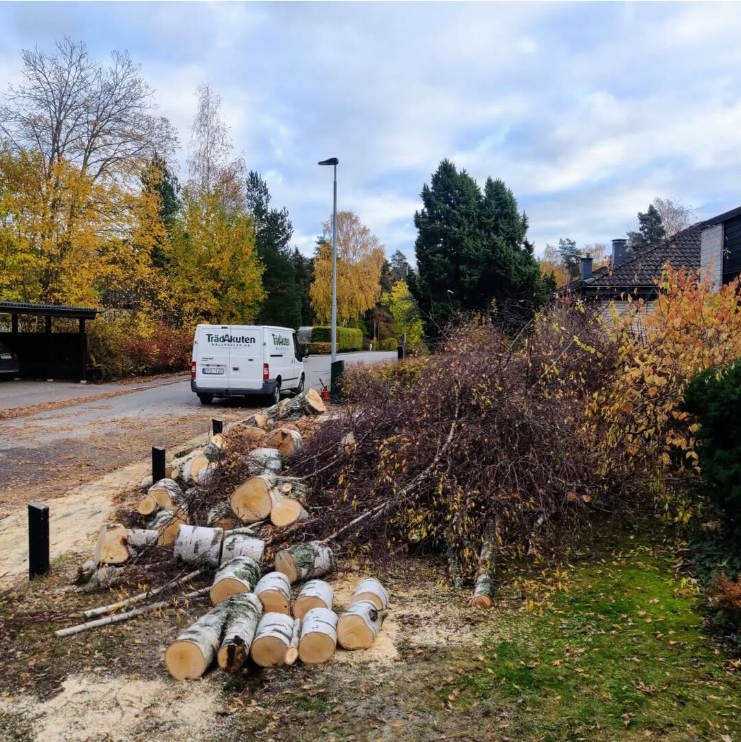 Nyköping trädvård