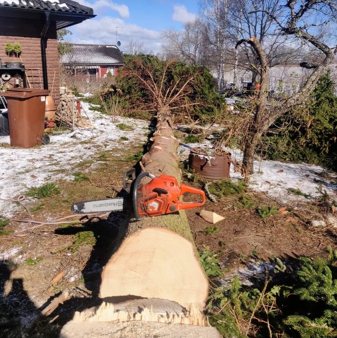 Nyköping trädvård