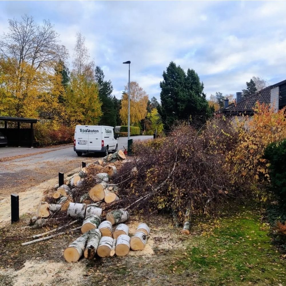 TrädAkutens servicebil på villagatan med uppkapade björkstammar i högar