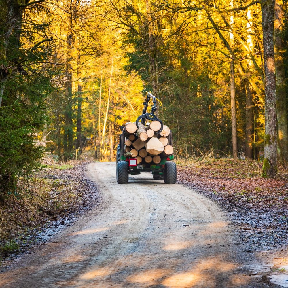 Skotare med lastat timmer på en grusväg genom höstskogen